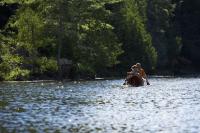 Life jackets required from now through spring under Mass law