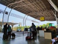 Hydroponic cannabis worth Rs 1.85 crore seized at Bhubaneswar airport