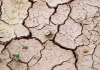 El Niño deepens drought crisis and food insecurity across Central America