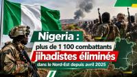 Inside Nigeria’s relentless crackdown: how military strategy crippled jihadist networks in the Lake Chad basin