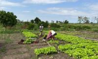 2 organisations partner to build soil intelligence for Africa’s agricultural transformation