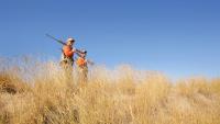 New York hunting seasons for bear and deer opens