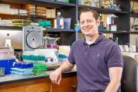 Northwest Arkansas, River Valley researchers receive $5.3 million in grants to study stress responses, weight loss