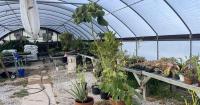 Horticulture Club plants seeds of environmental consciousness on campus