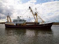 Ministers accused of ‘choosing’ to run down Britain’s fish stocks