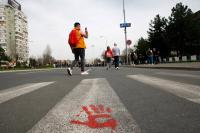 SAR Report: Authorities in Serbia Violently Stifling Students’ Protests, University’s Autonomy
