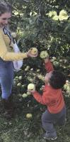 Do New Yorkers Actually Buy Our Apples?