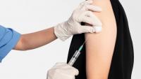 India's Rabies Crisis: Urgent Need for Coordinated Canine Vaccination