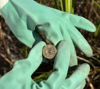 Five protected birds found dead in northern Moldova. A black stork, tracked by GPS after crossing four countries, was…