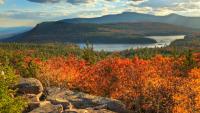 Leaf-peeping, wine-sipping and spooky streets: Do fall right in New York