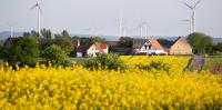 Could victory for the AfD spell the end of wind farms in Germany?