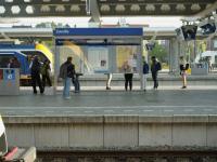 Angry Dutch farmers blamed for railway sabotage: What happened?