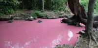 Sacred springs of South Africa: pure waters or polluted? We found tiny bits of plastic in the samples we tested
