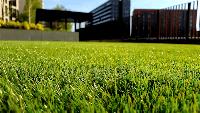 How To Choose A Reliable Lawn Care Company For Your Property