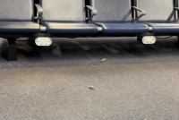 Cleveland Hopkins Airport is Dealing With a Mouse Problem in Concourse C