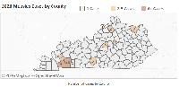 Number of confirmed measles cases creeping up in Kentucky