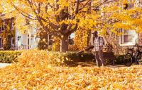 Gas-Powered Leaf Blowers are Banned in this Massachusetts Town