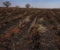 Opinion: Resilience, the new corporate asset