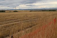 Mormon Church Expands Its Real Estate Empire With 1,000-Acre Development Near Denver