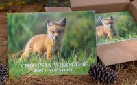 A Cute Fox Kit Scores a Cover for Anne Bryant