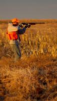 Early bear and anterless deer hunting seasons begin in New York state