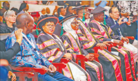 Africa cannot build strong health systems without investing in nurses, midwives