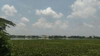 Sembakkam lake continues to face sewage pollution despite repeated representations
