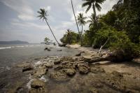 Fault Lines – Defence bills, warning flares, Pacific cheques