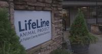 LifeLine Animal Project set to host Super Adopt-a-Thon in metro Atlanta