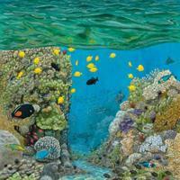 The 2026 Coronado Art Prize Winners Announced