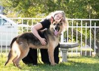 PETA to Shepherd This Chiefly Dog to a Lombardi Trophy–Deserving Home