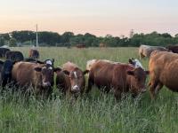 Ohio Farm Bureau touts fall tours in the region