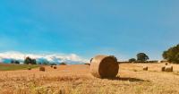 Virginia acts to ease hay crisis as drought continues to cause strain on livestock producers