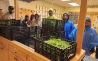 People with Disabilities are Finding Solutions to Food Insecurity in Milwaukee
