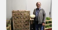 "Uzbek melons are becoming increasingly popular with our customers"