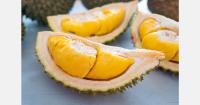 Vietnamese processor sends 54 tons of frozen durian to China