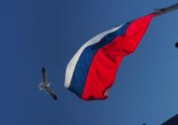 CDDH says at least 50 Dominicans allegedly traveled to Russia to fight in war