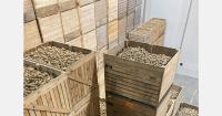 What opportunities are there for French potatoes in the United Kingdom?