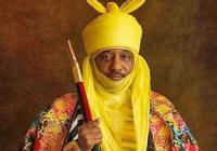 I regret delaying telcos’ entry into financial services- Sanusi