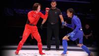 Diverse Non-Olympic Sports Under the Spotlight at the Aichi-Nagoya 2026 Asian Games