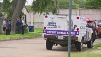 Dog attack reported on east side of Des Moines