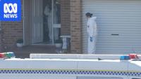 Teens charged with murder over Sydney shooting 'lured by the thrill'