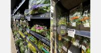 Financial pressure reshapes fresh produce shopping habits