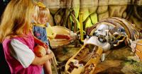 Robotic animals and video games are coming to Science World