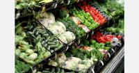 Only 6% of German consumers would cut fresh produce as grocery prices rise