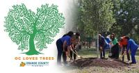 Orange County begins work on first Urban Forest Master Plan