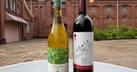 Japan's Ushiku in Ibaraki Pref. aims to become major wine region （2026/9/17）