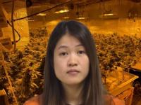 Chinese Grow-House Owner Gets Six Months in Jail After Maine Raids Uncovered Black Market Cannabis, $40k Cash