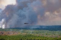 Wildfire near Camden industrial park 65% contained, Arkansas authorities say