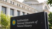 Trump Is Now Using Taxpayer Money to Finance His War on the Smithsonian